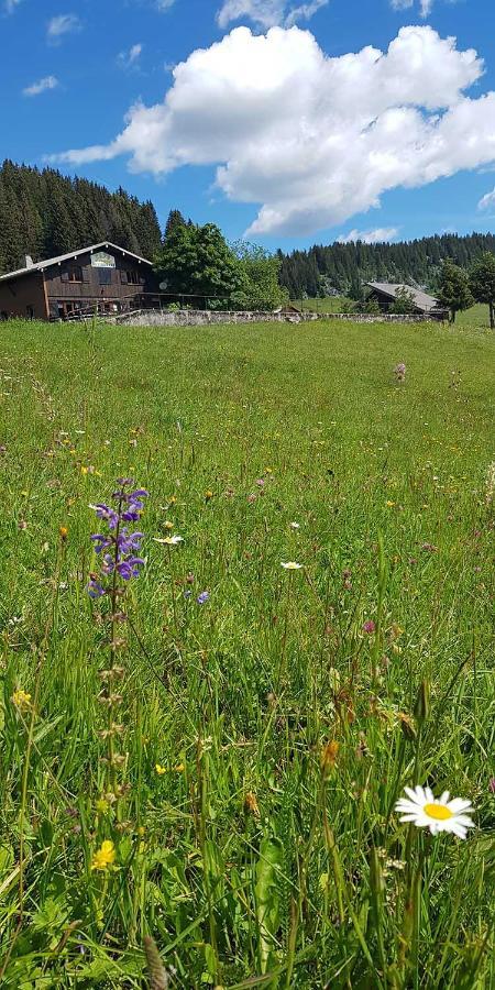 Gite Les Lanfiannes Thorens-Glières Екстериор снимка
