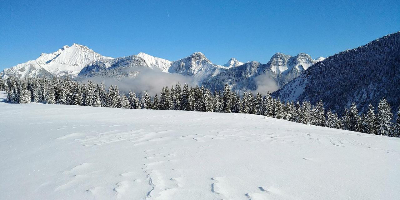 Gite Les Lanfiannes Thorens-Glières Екстериор снимка