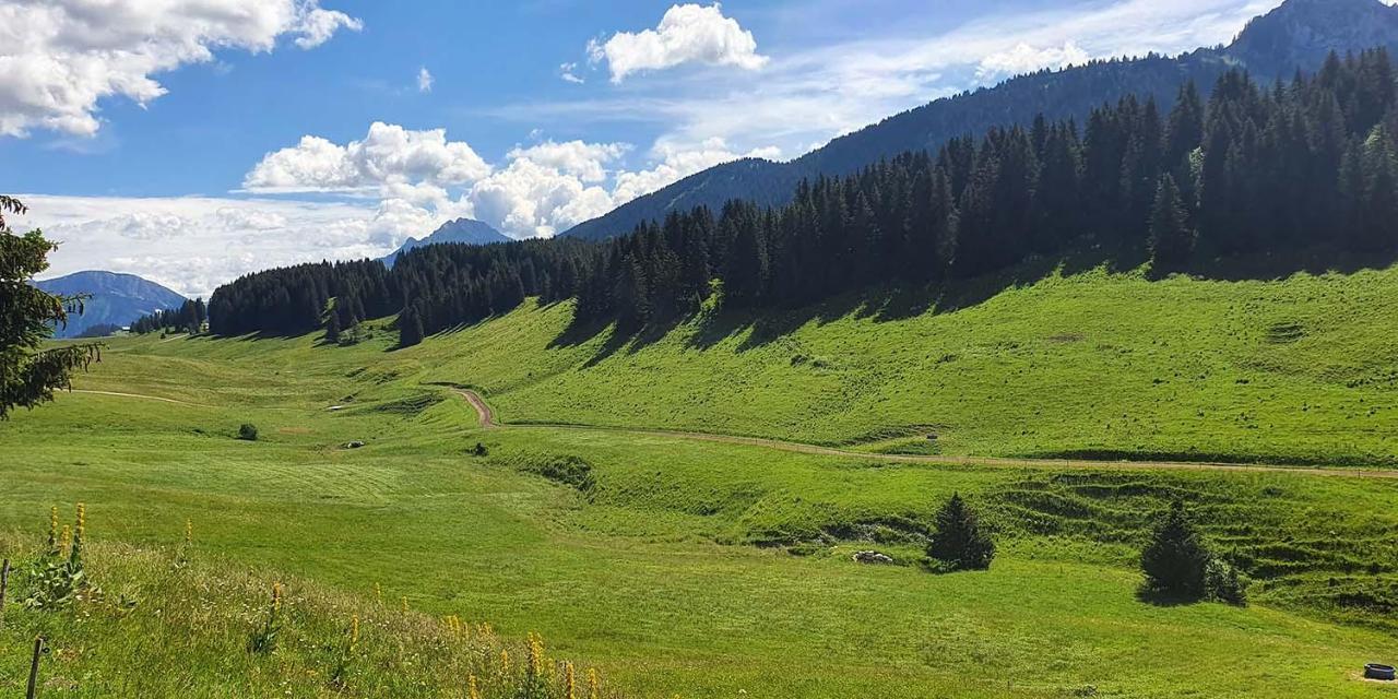 Gite Les Lanfiannes Thorens-Glières Екстериор снимка