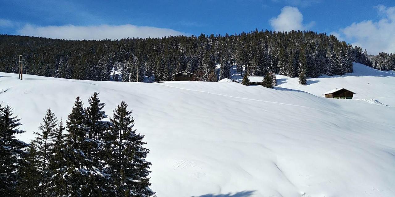 Gite Les Lanfiannes Thorens-Glières Екстериор снимка