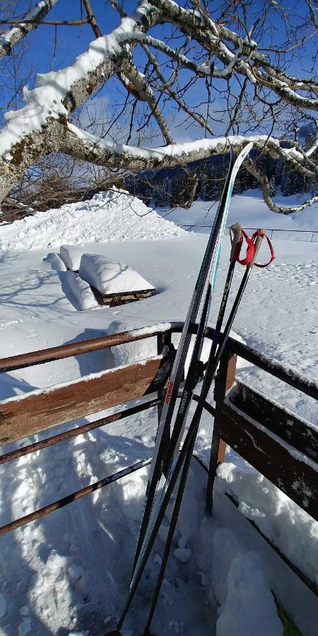 Gite Les Lanfiannes Thorens-Glières Екстериор снимка