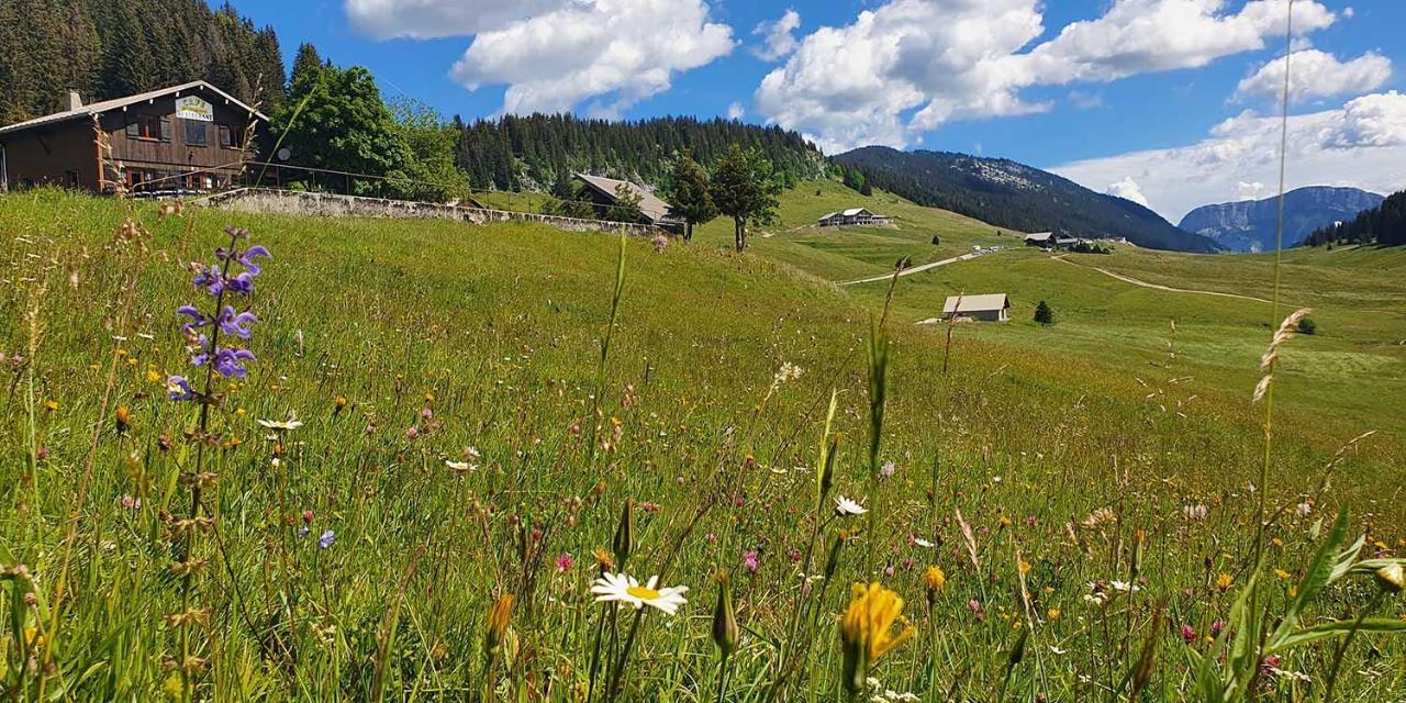 Gite Les Lanfiannes Thorens-Glières Екстериор снимка