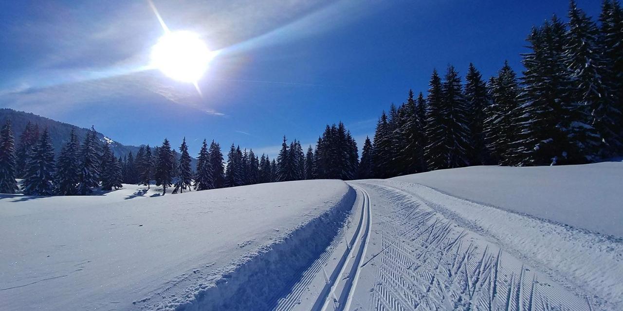 Gite Les Lanfiannes Thorens-Glières Екстериор снимка
