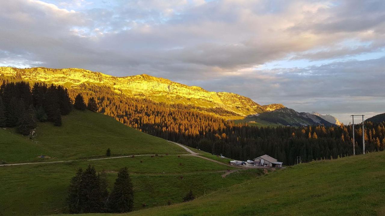 Gite Les Lanfiannes Thorens-Glières Екстериор снимка