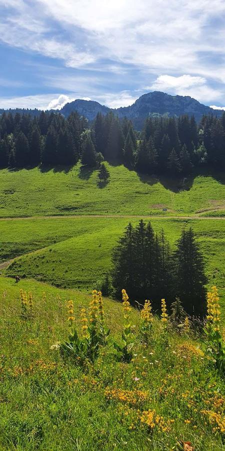 Gite Les Lanfiannes Thorens-Glières Екстериор снимка
